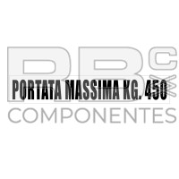 PORTATA MASSIMA KG.450