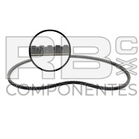 CORREA ALTERNADOR ADAPTAVEL DTZ BF4M
